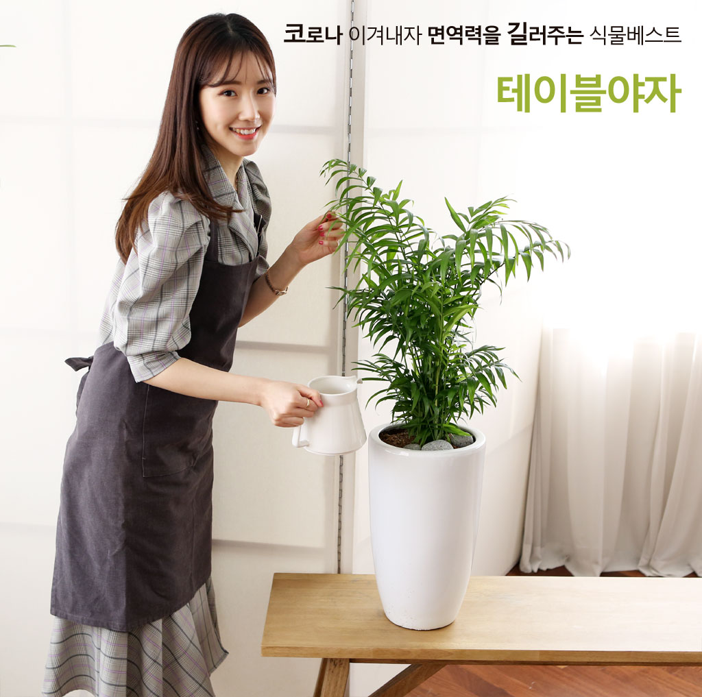 鿪 淯ִ Ĺ Ʈ - ̺()