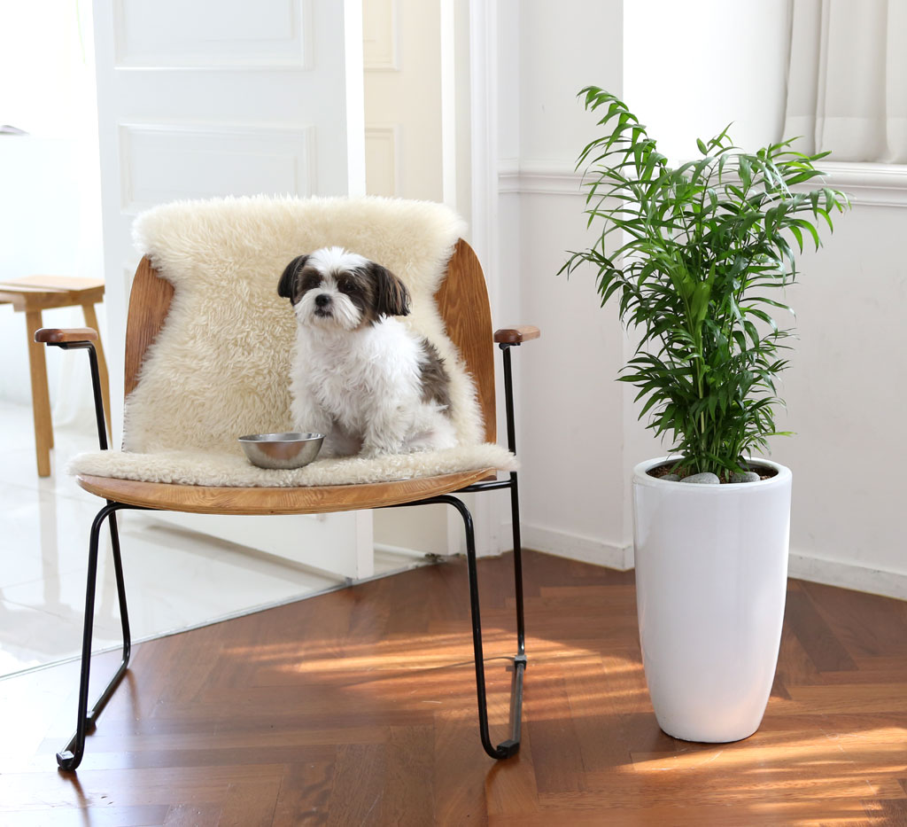 鿪 淯ִ Ĺ Ʈ - ̺()