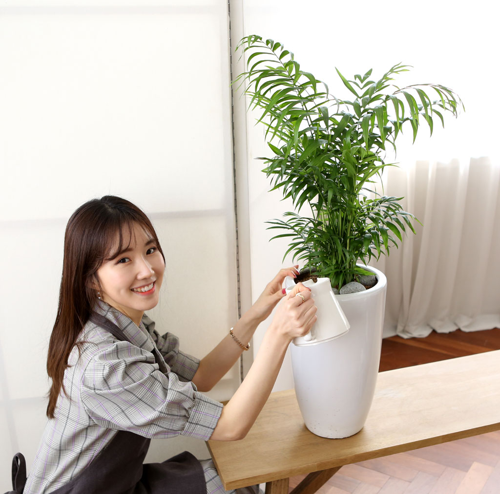 鿪 淯ִ Ĺ Ʈ - ̺()