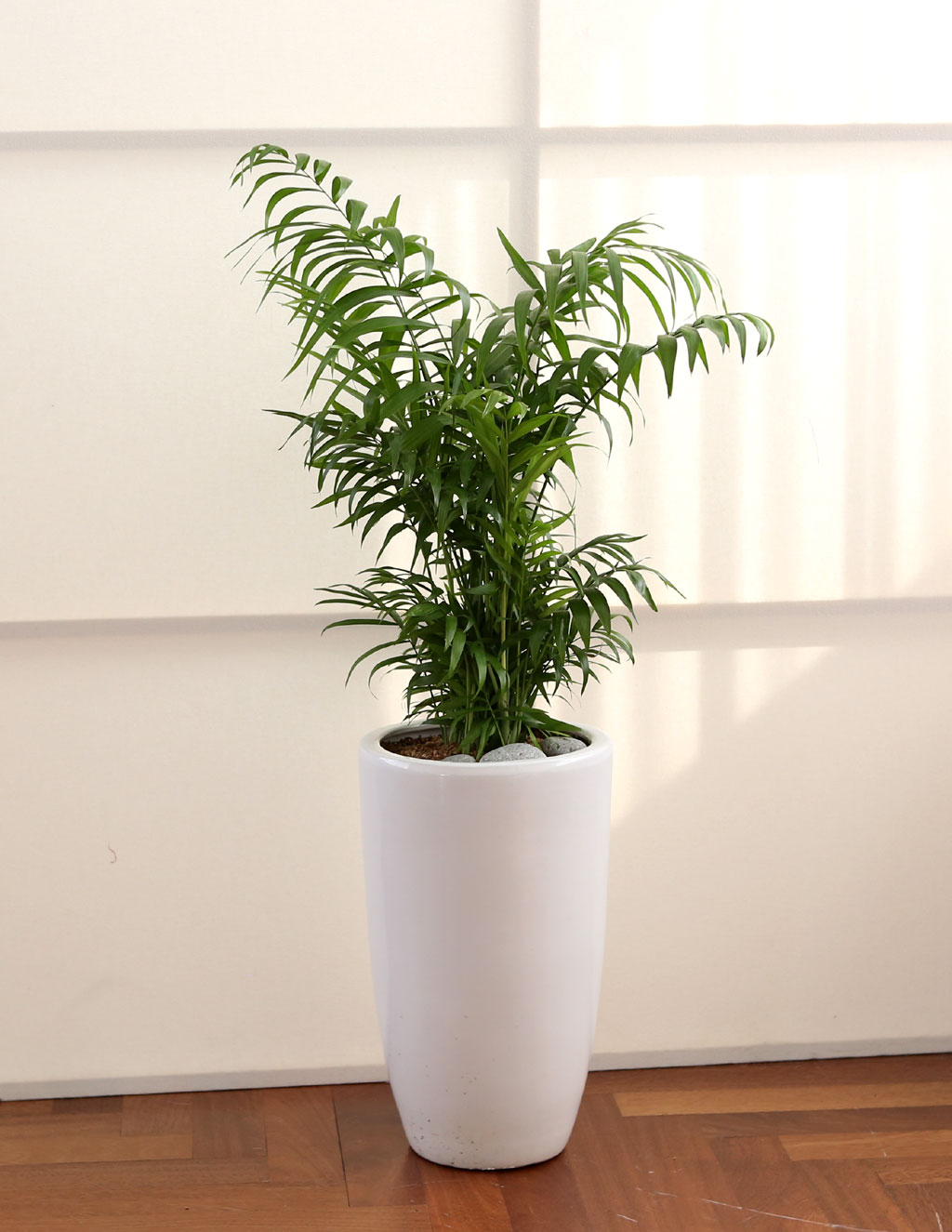 鿪 淯ִ Ĺ Ʈ - ̺()