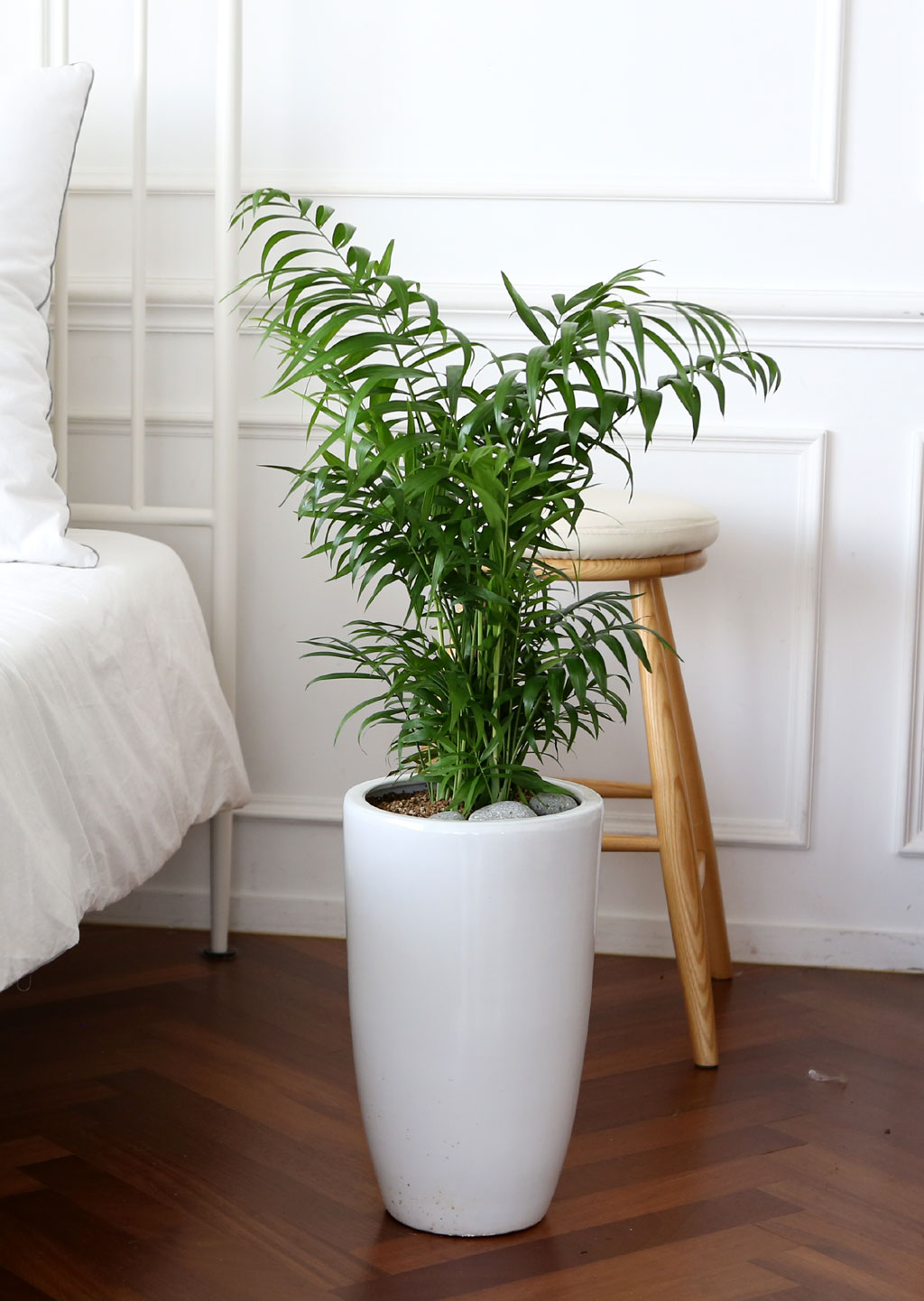 鿪 淯ִ Ĺ Ʈ - ̺()