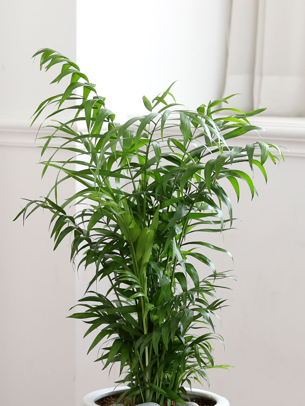 鿪 淯ִ Ĺ Ʈ - ̺()