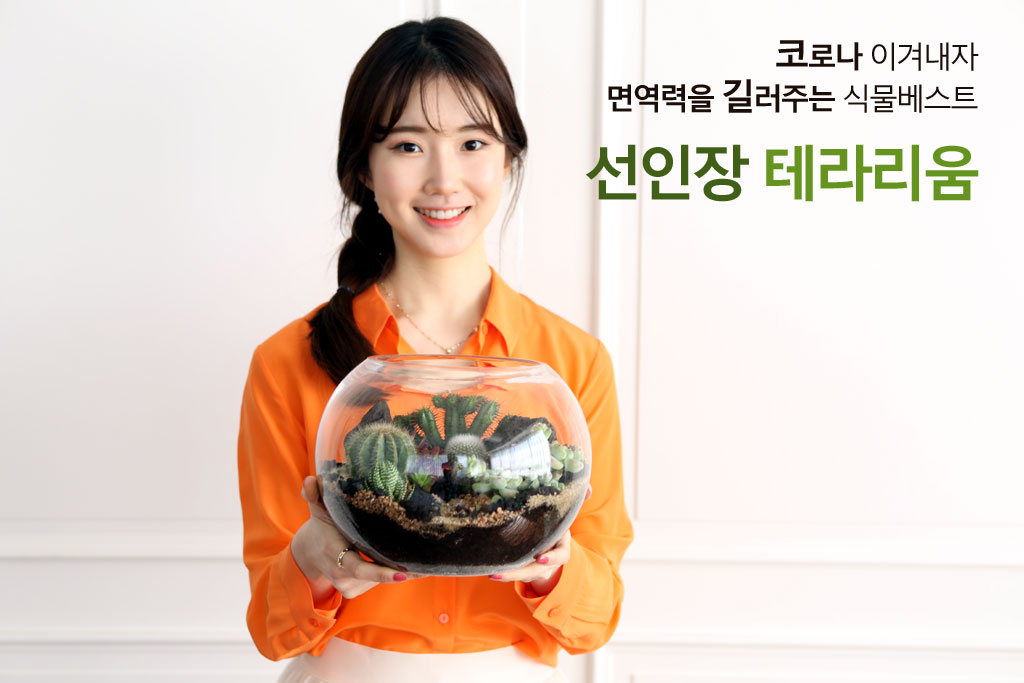 À¯¸®º´¾È¿¡ ÀÛÀº Á¤¿øÀ» ²Ù¸ì¾î¿ä - ´ÙÀ°Å׶󸮿ò ¿øÇü´ë