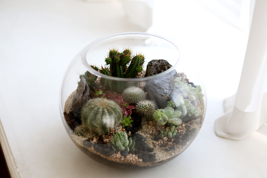 À¯¸®º´¾È¿¡ ÀÛÀº Á¤¿øÀ» ²Ù¸ì¾î¿ä - ´ÙÀ°Å׶󸮿ò ¿øÇü´ë