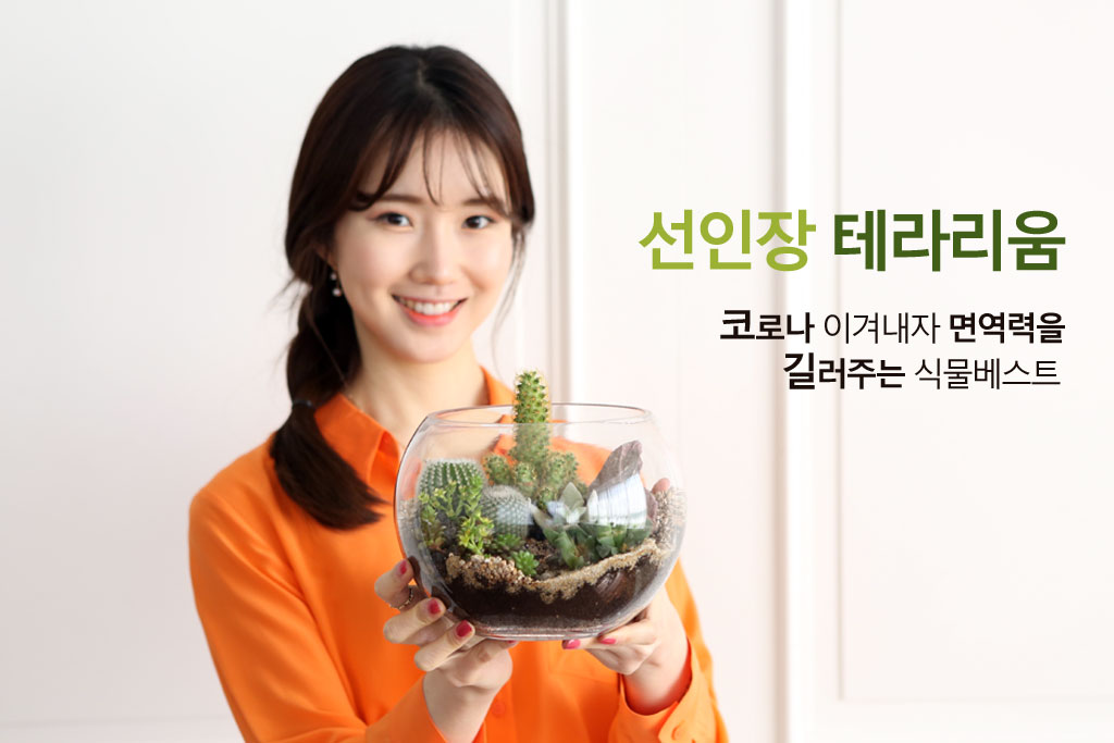 다육테라리움 원형더블 꽃배달... 다육테라리움 원형더블 유리병안에 작은 정원을 꾸몄어요 - 다육테라리움 원형더블 플라워119