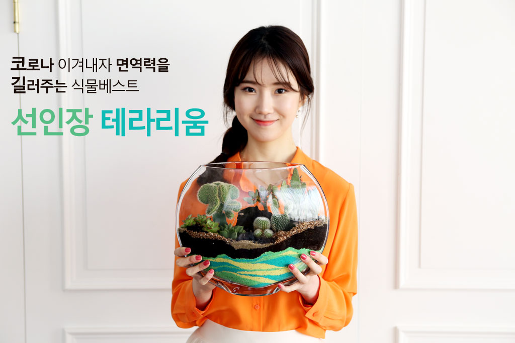 À¯¸®º´¾È¿¡ ÀÛÀº Á¤¿øÀ» ²Ù¸ì¾î¿ä - Ÿ¿øÇü