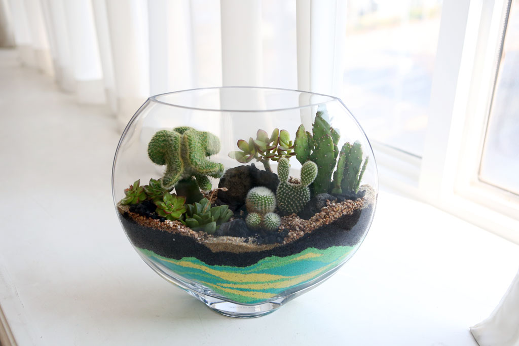 À¯¸®º´¾È¿¡ ÀÛÀº Á¤¿øÀ» ²Ù¸ì¾î¿ä - Ÿ¿øÇü