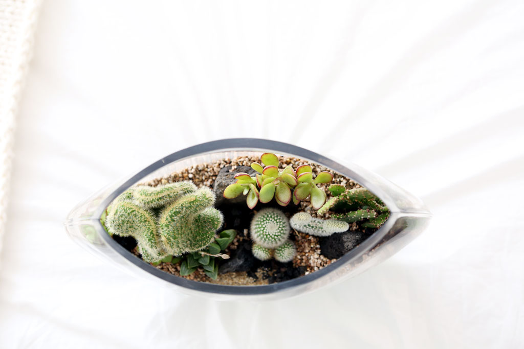 À¯¸®º´¾È¿¡ ÀÛÀº Á¤¿øÀ» ²Ù¸ì¾î¿ä - Ÿ¿øÇü