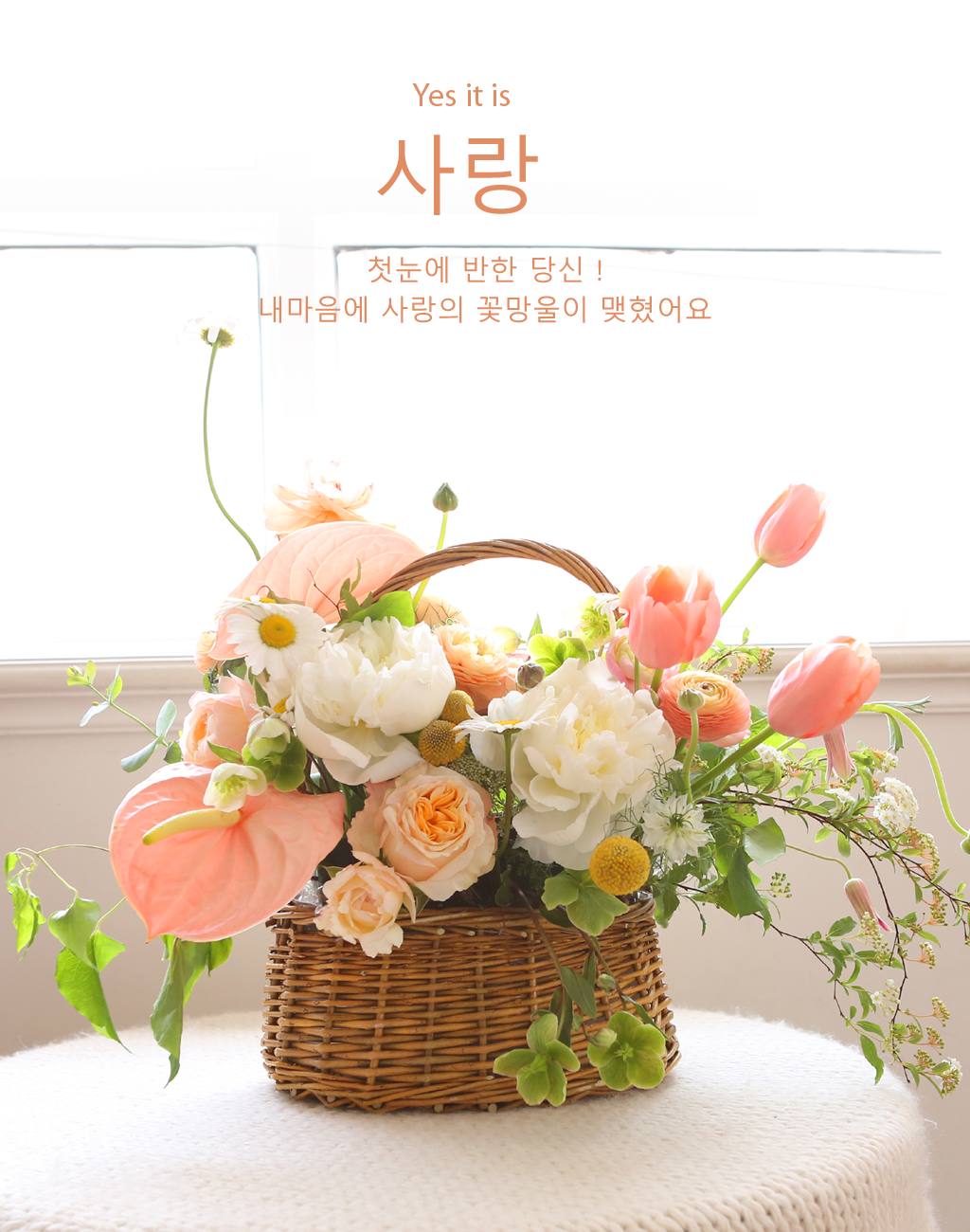 {¼¿ï¼öµµ±Ç, ±¤¿ª½Ã} Yes it is  »ç¶û