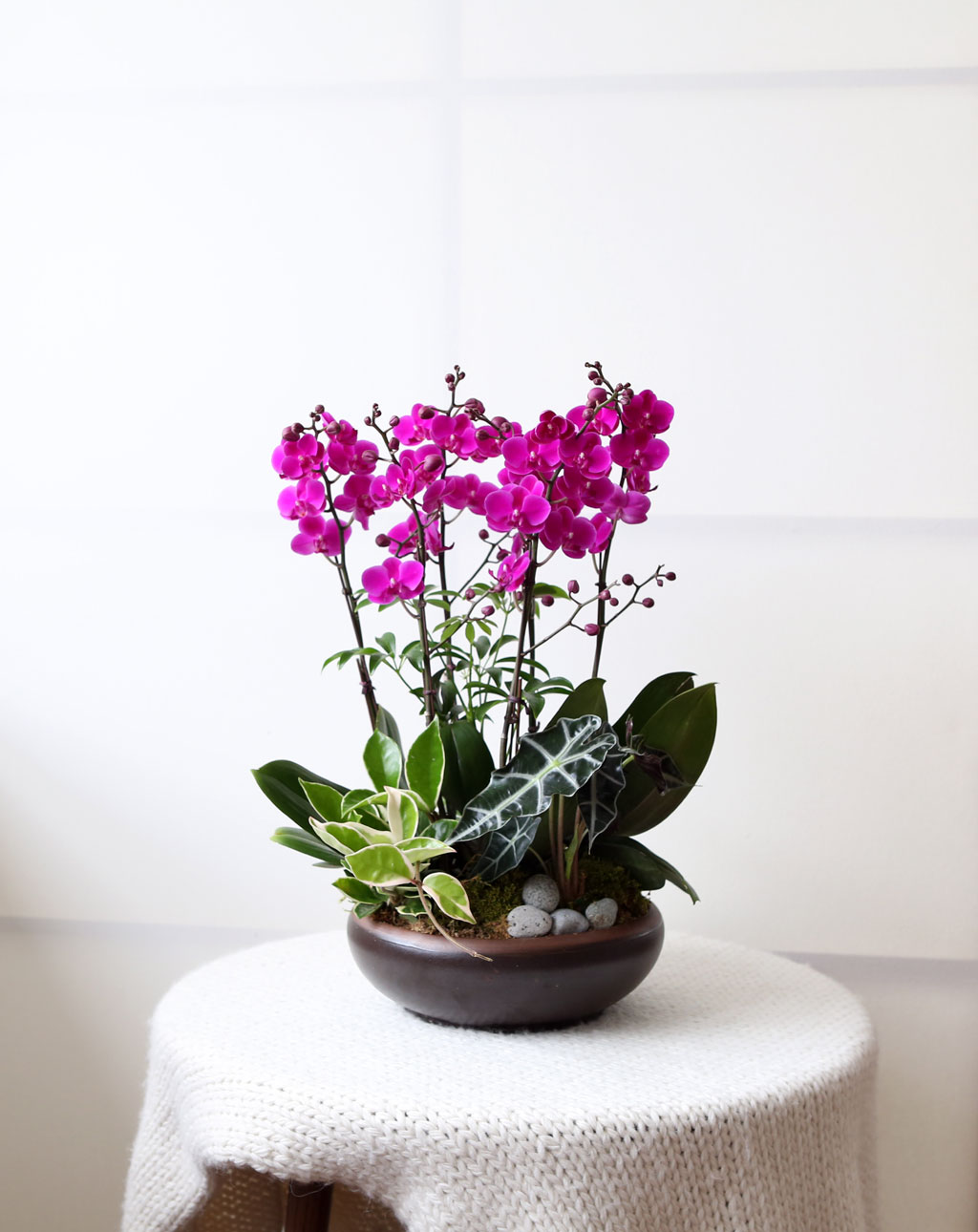 [,]   - õȫ () (ȭ⺯)