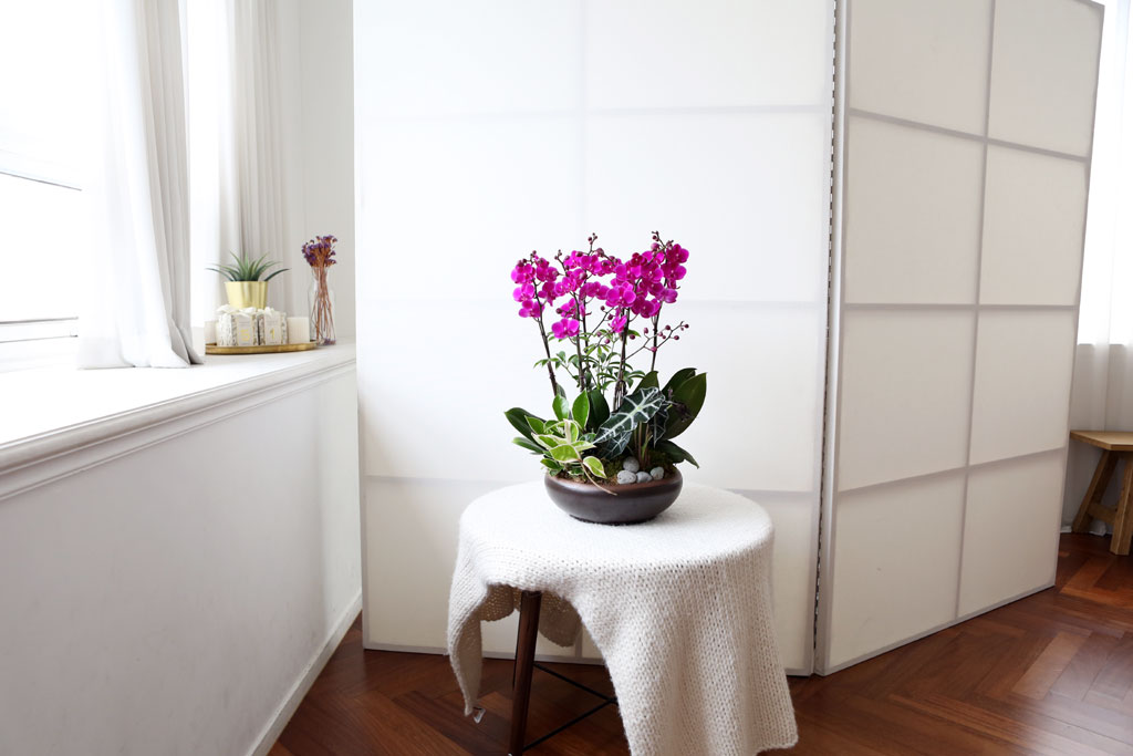 [,]   - õȫ () (ȭ⺯)