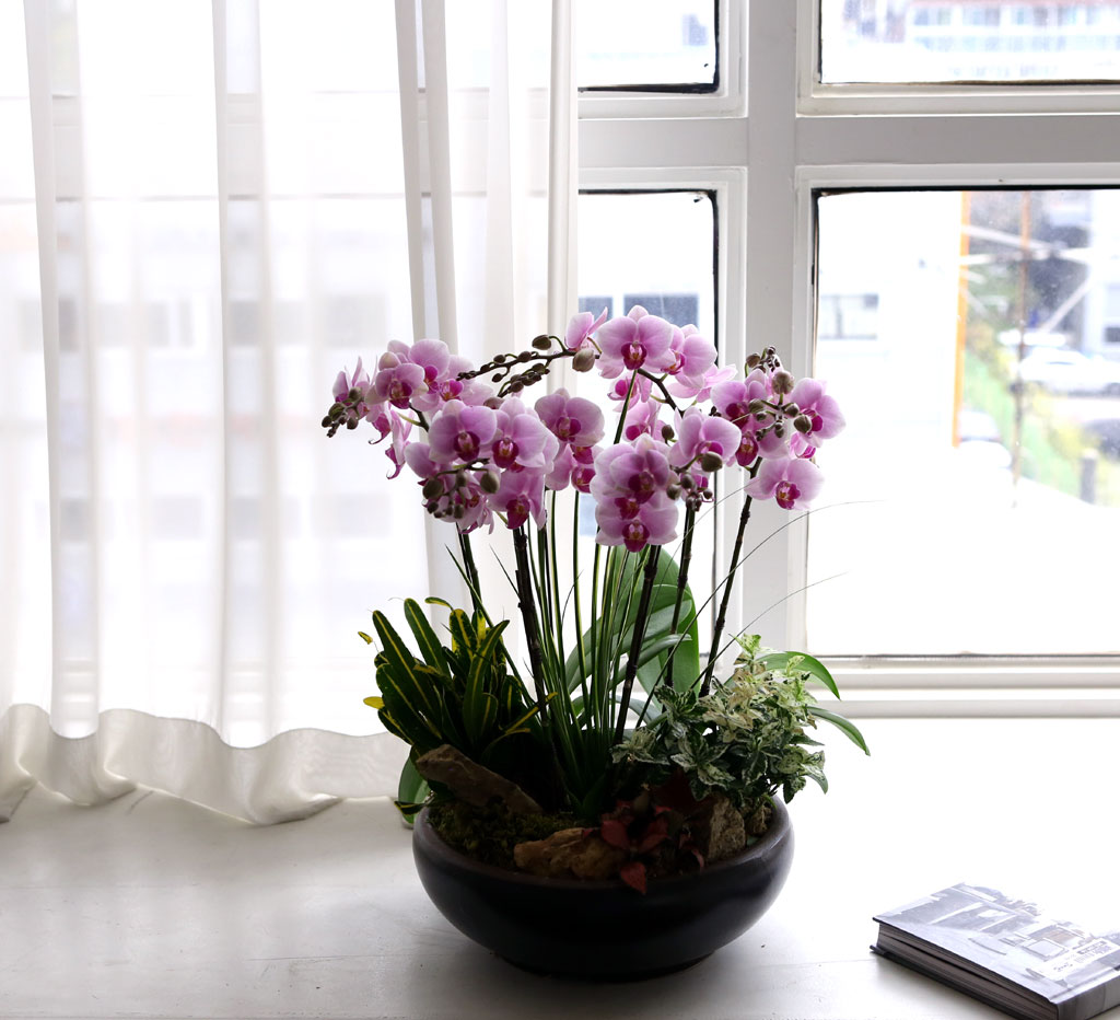 [,]   - ũ ȣ () (ȭ⺯)