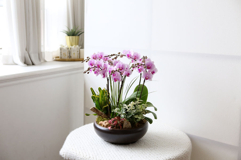 [,]   - ũ ȣ () (ȭ⺯)