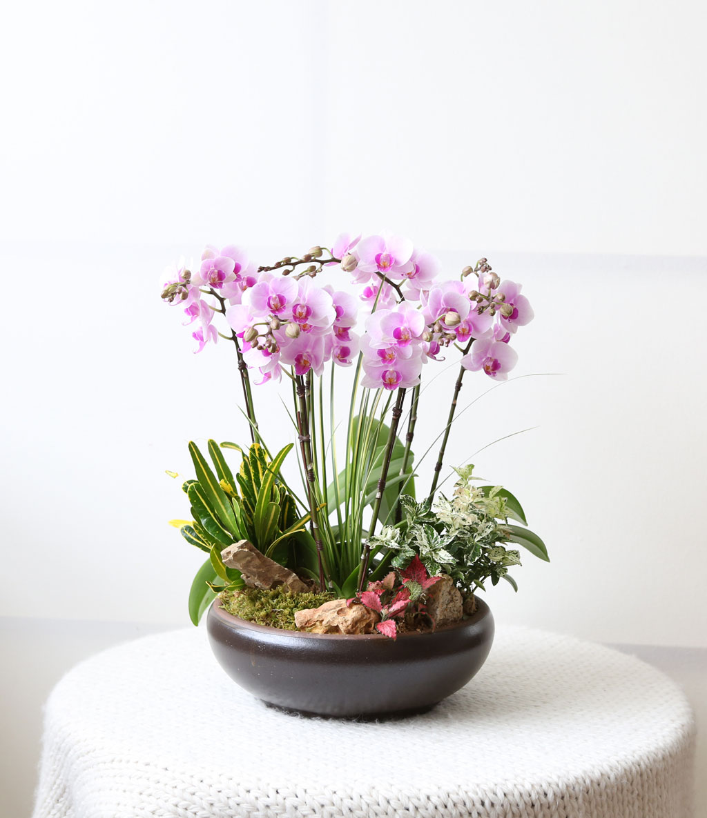 [,]   - ũ ȣ () (ȭ⺯)