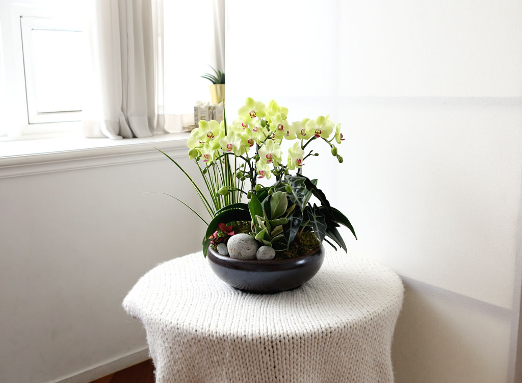 [,]   -   () (ȭ⺯)  ɹ