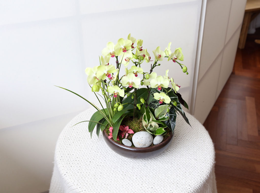 [,]   -   () (ȭ⺯)  ɹ