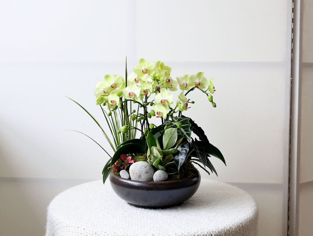 [,]   -   () (ȭ⺯)  ɹ