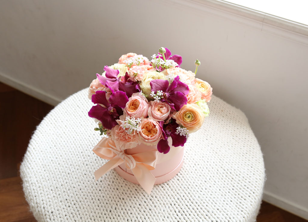 {, } Sweatest Pink love story  ɹ