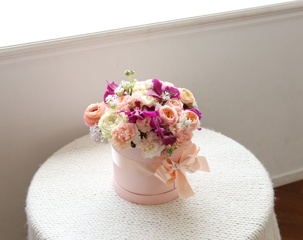 {, } Sweatest Pink love story  ɹ