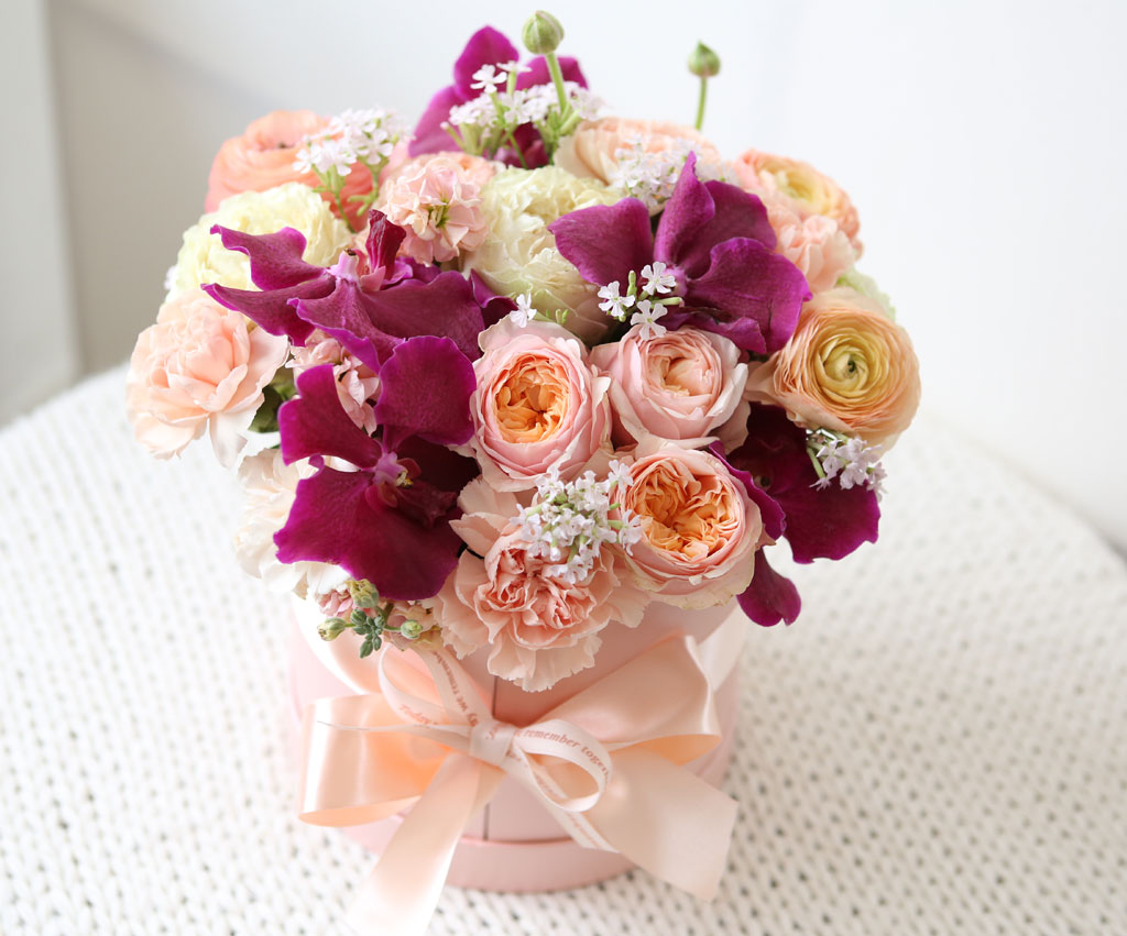 {, } Sweatest Pink love story  ɹ