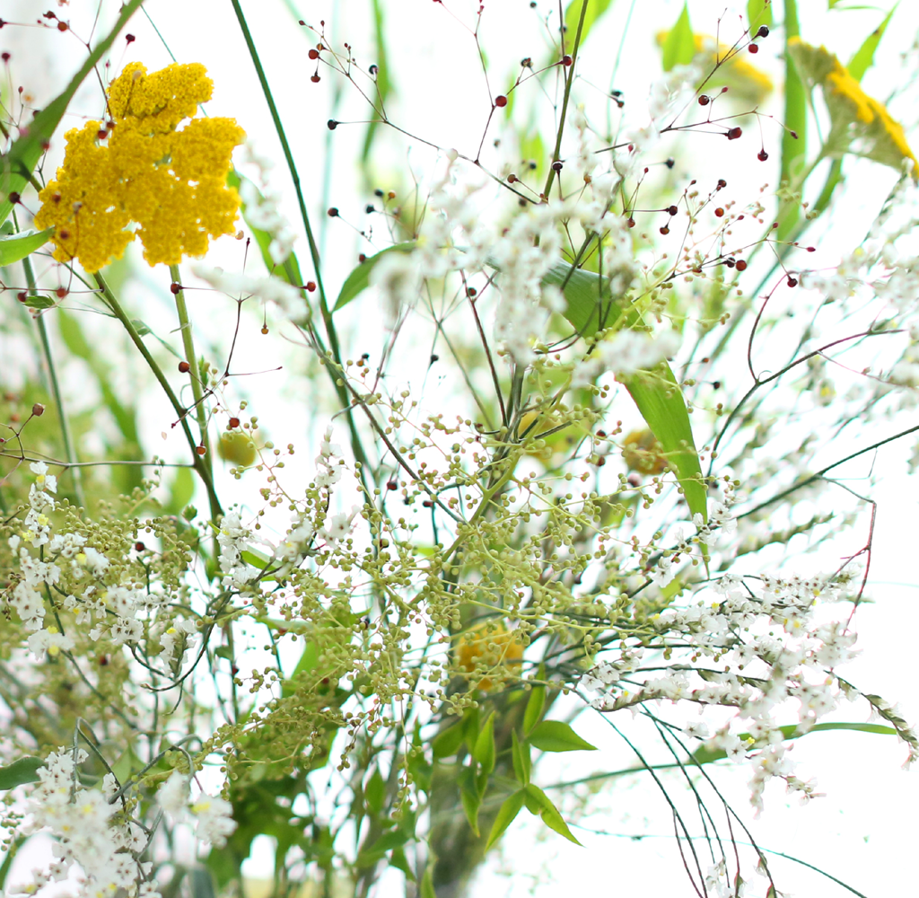 Floral Arrangement -  â  ɹ