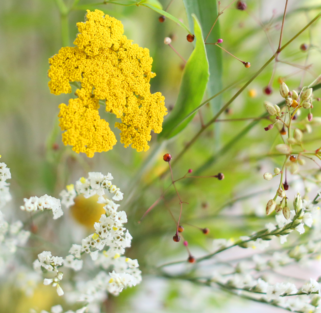 Floral Arrangement -  â  ɹ