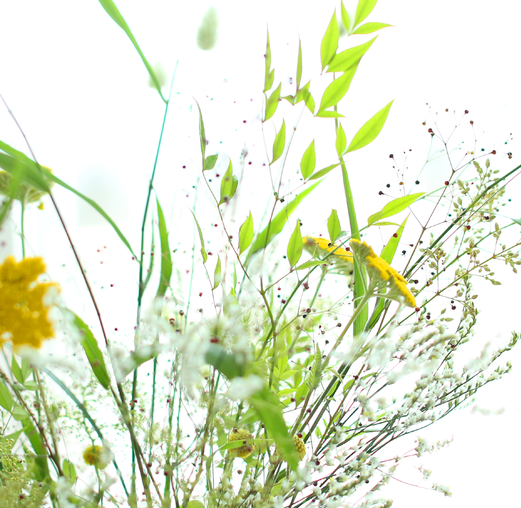 Floral Arrangement -  â  ɹ