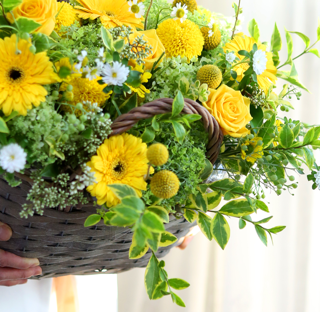 Fresh&sweet   smiling children  ɹ