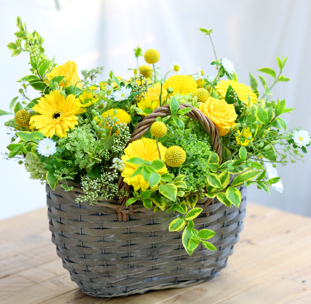 Fresh&sweet   smiling children  ɹ