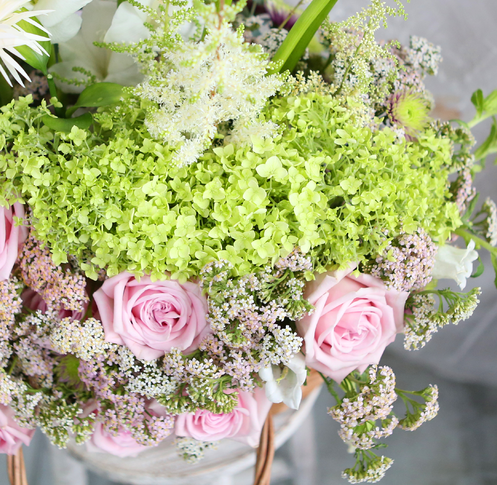 Fresh & sweet -  Bohemian  ɹ