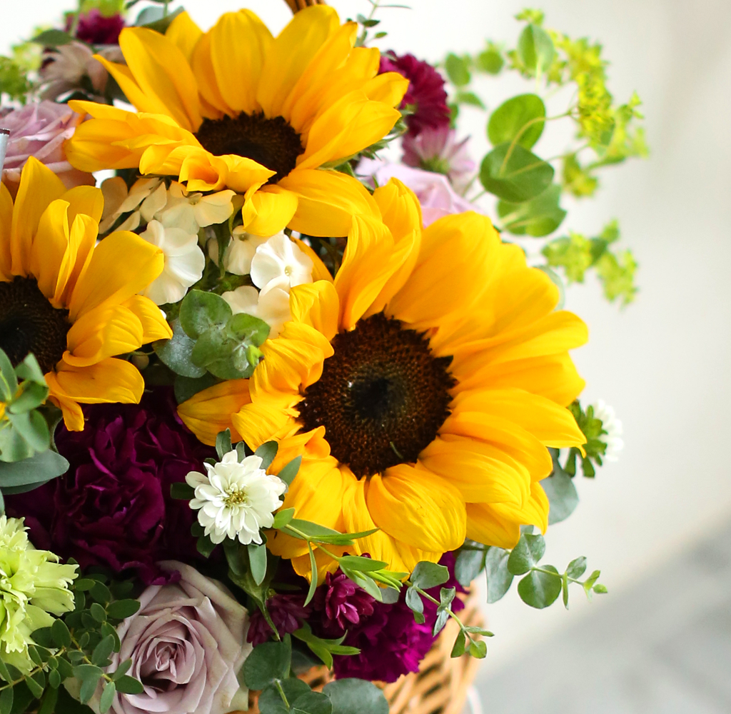 Summer story - ÇÞºµ µû°¡¿î ¿©¸§³¯