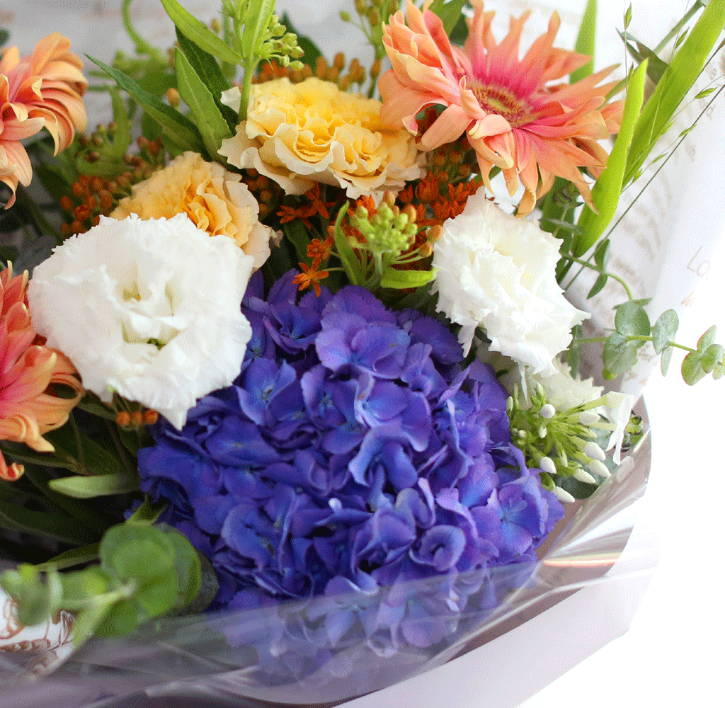 [/ǹ]Summer story -    ħ