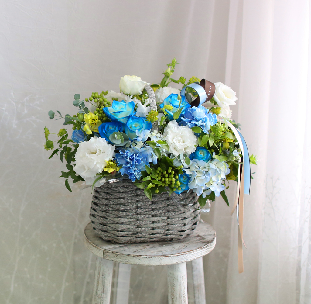 Summer story -    ɹ