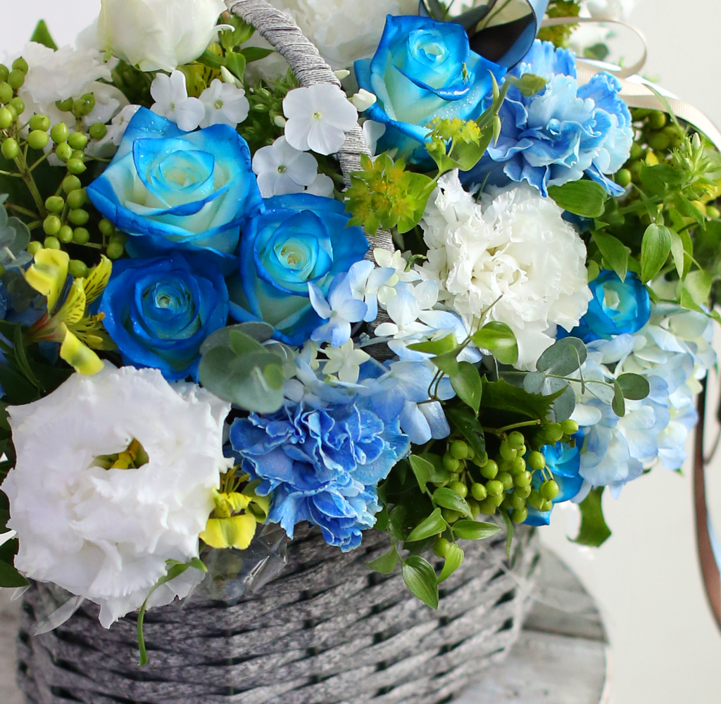 Summer story -    ɹ