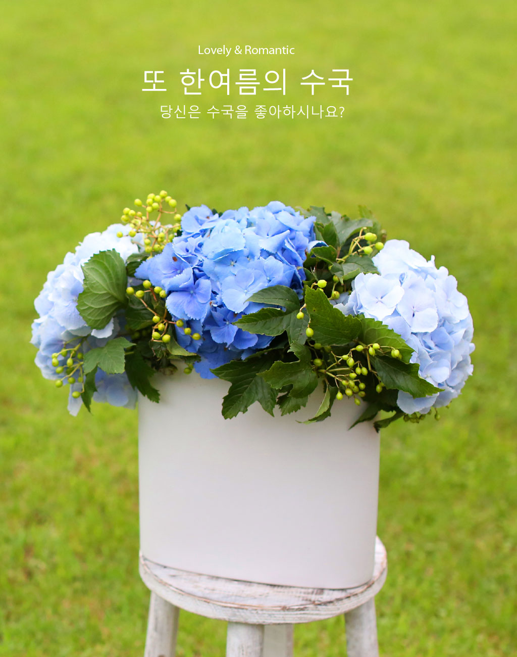 lovely & Romantic -  ѿ   ɹ