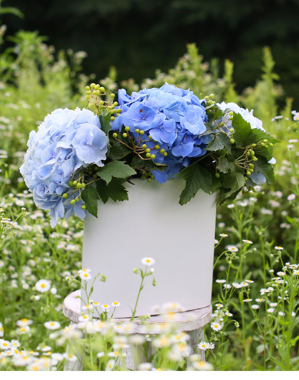 lovely & Romantic -  ѿ   ɹ