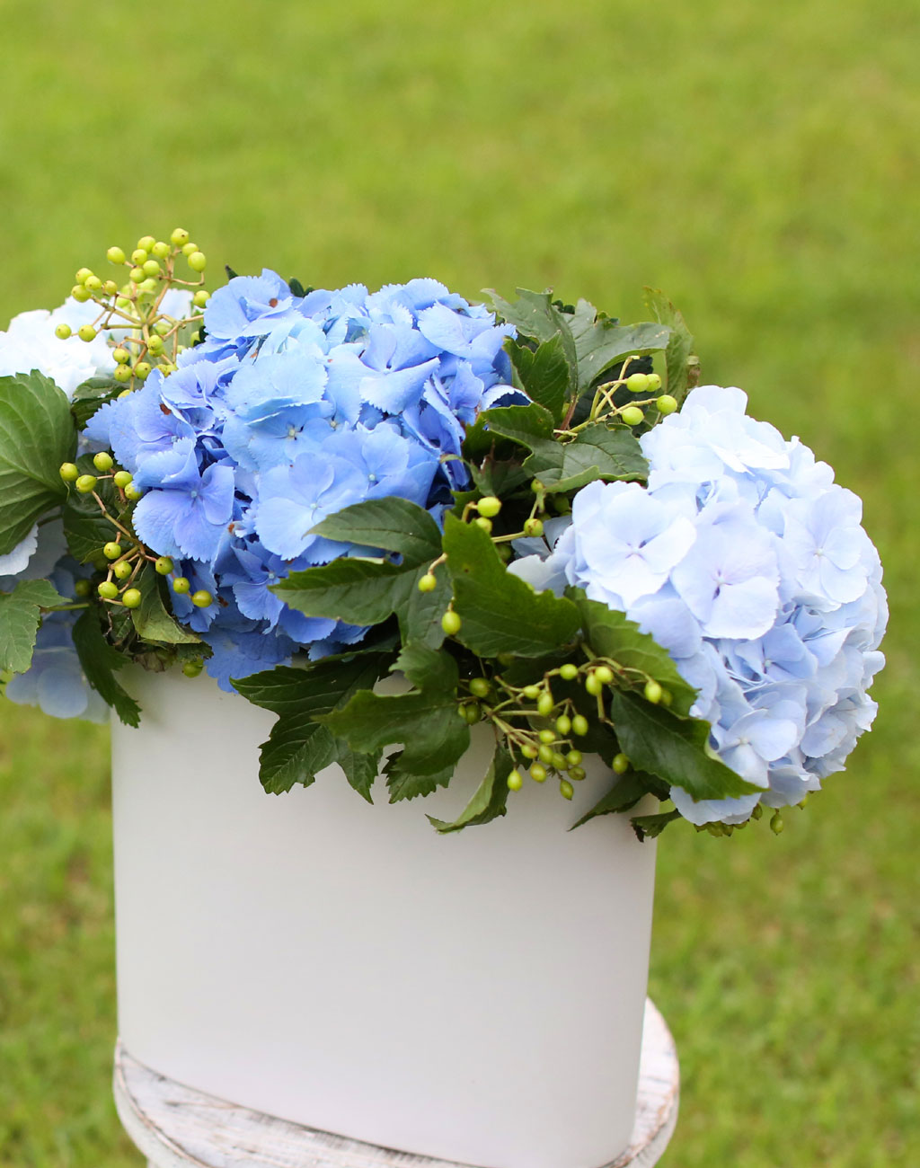 lovely & Romantic -  ѿ   ɹ