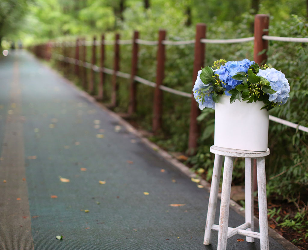 lovely & Romantic -  ѿ   ɹ