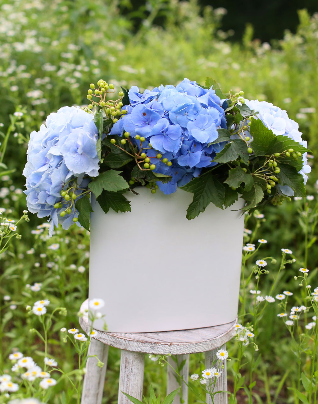 lovely & Romantic -  ѿ   ɹ