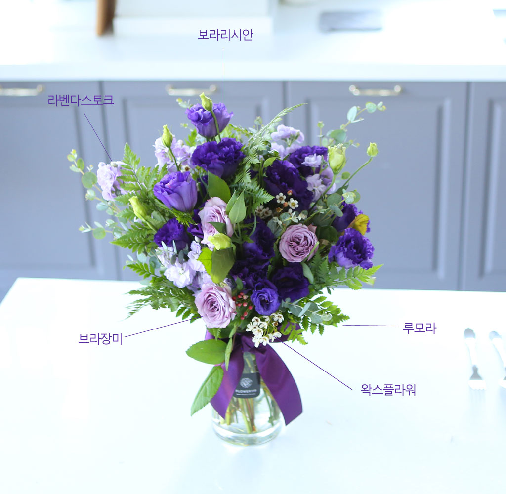 []Summer story -  ѳ  ɹ