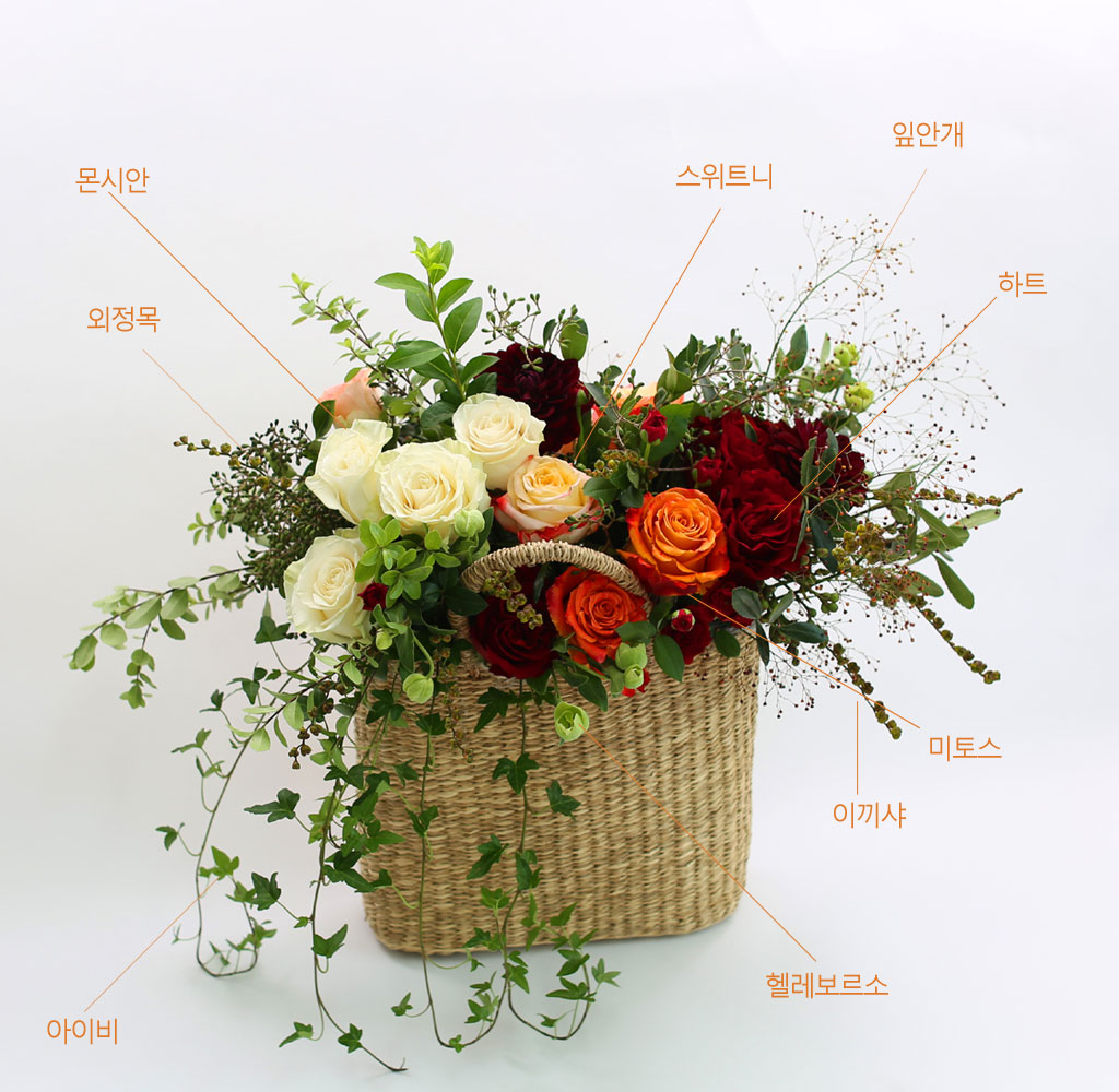 [, ]   - ð  Ұž  ɹ