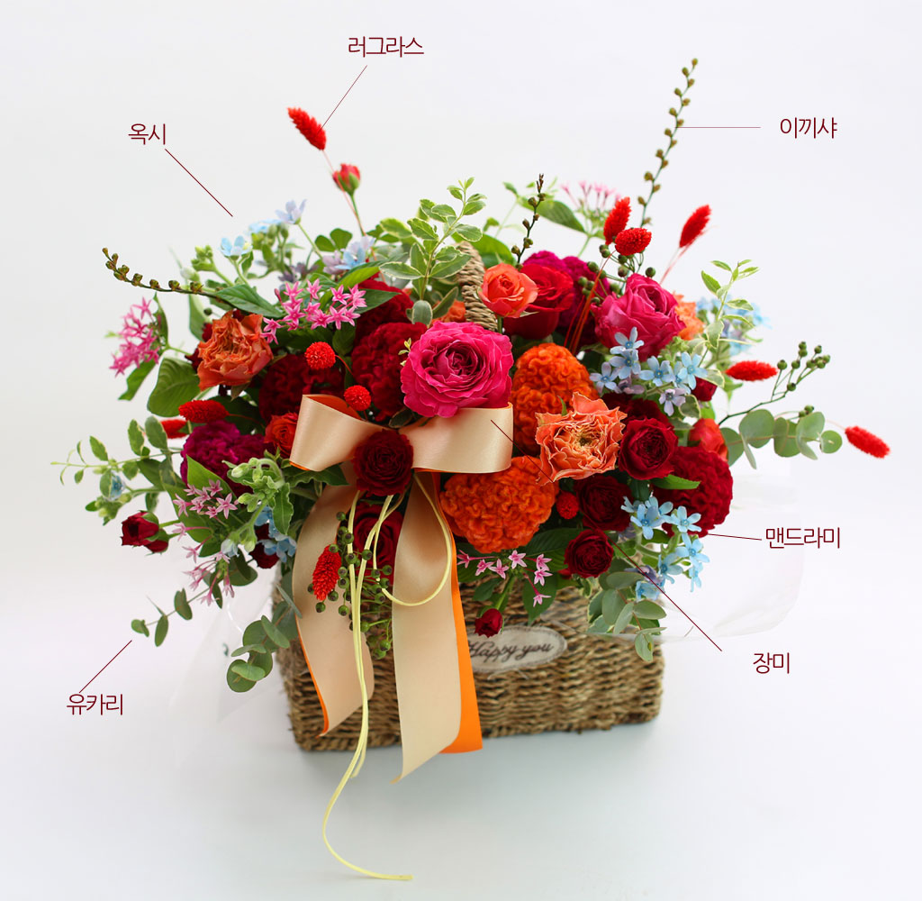 ¾î´À»õ °¡À» - »¡°²°Ô À;´Â ½£±æ ²ÉÁý ²É¹è´Þ