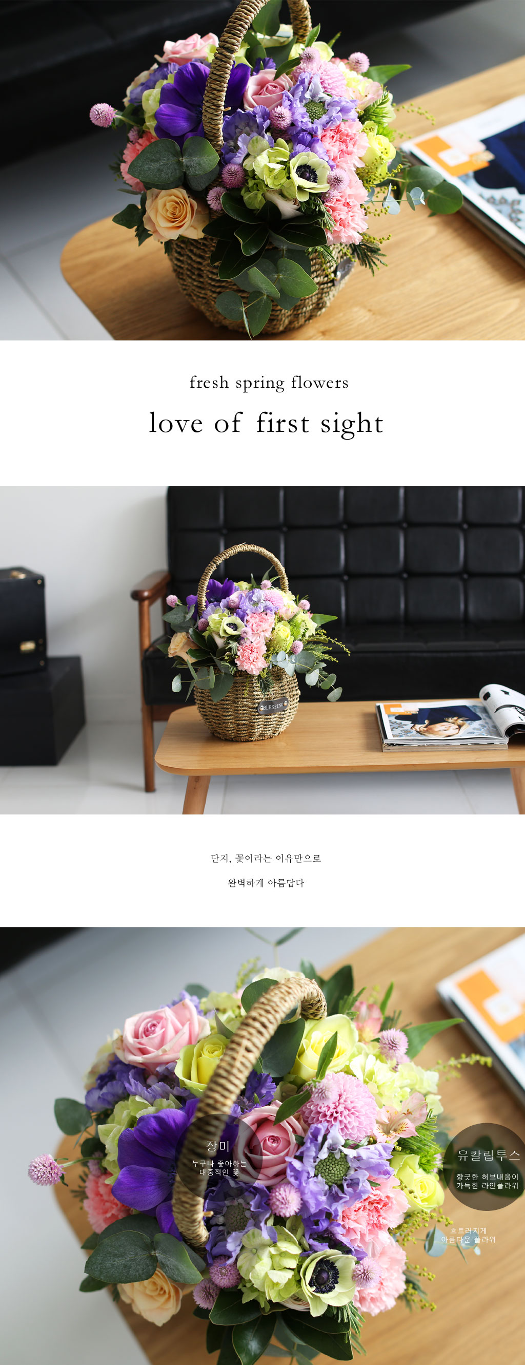 Fresh spring flower love of first sight