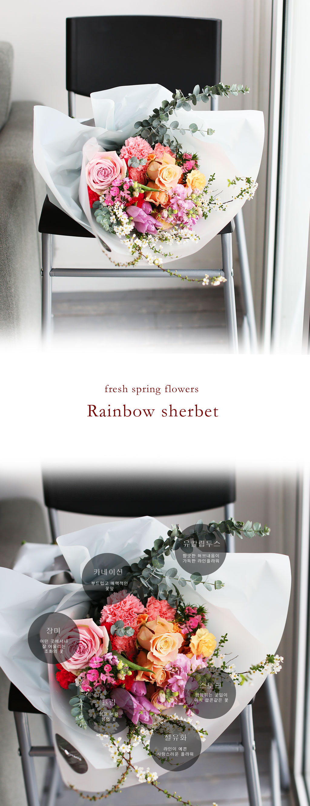 [/ǹ]Fresh spring flower rainbow sherbet  ɹ
