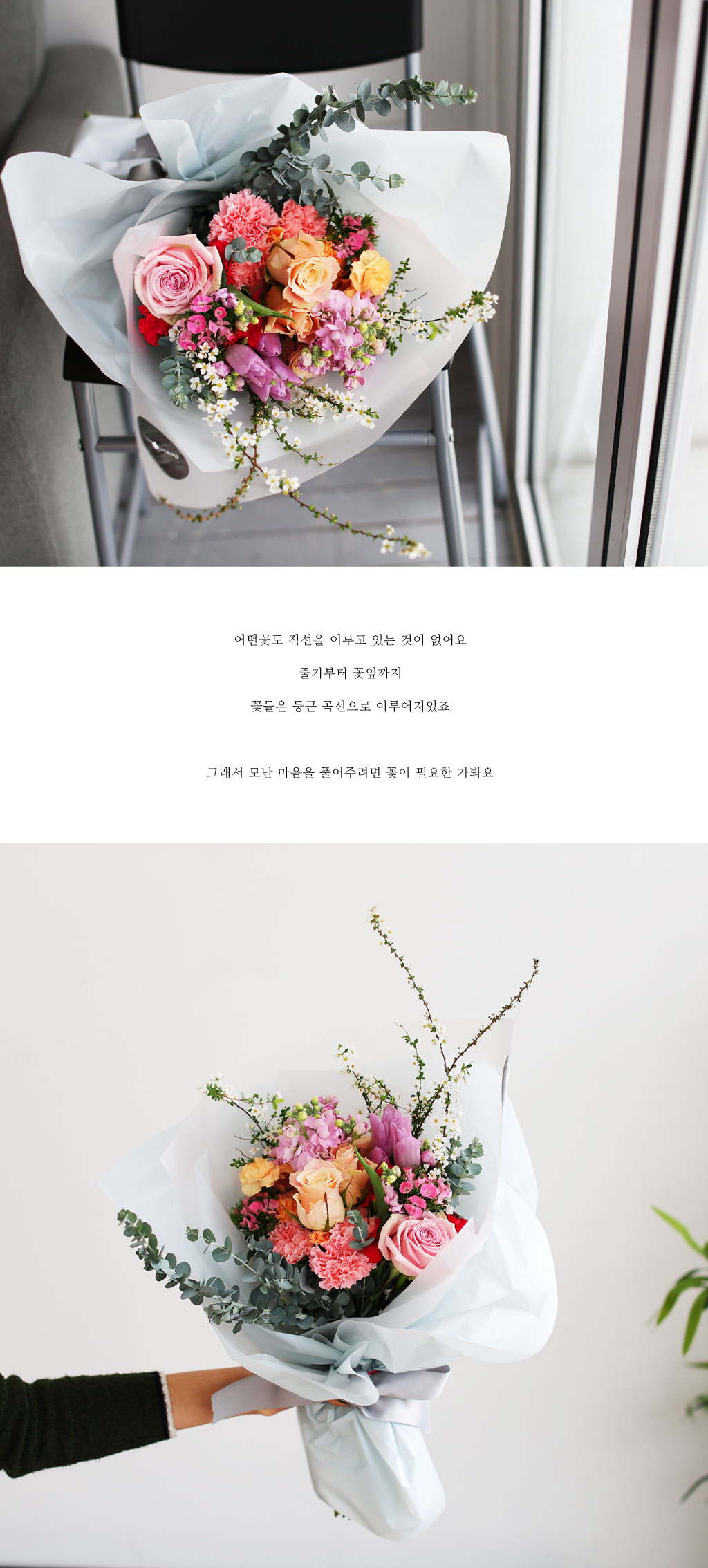 [/ǹ]Fresh spring flower rainbow sherbet  ɹ