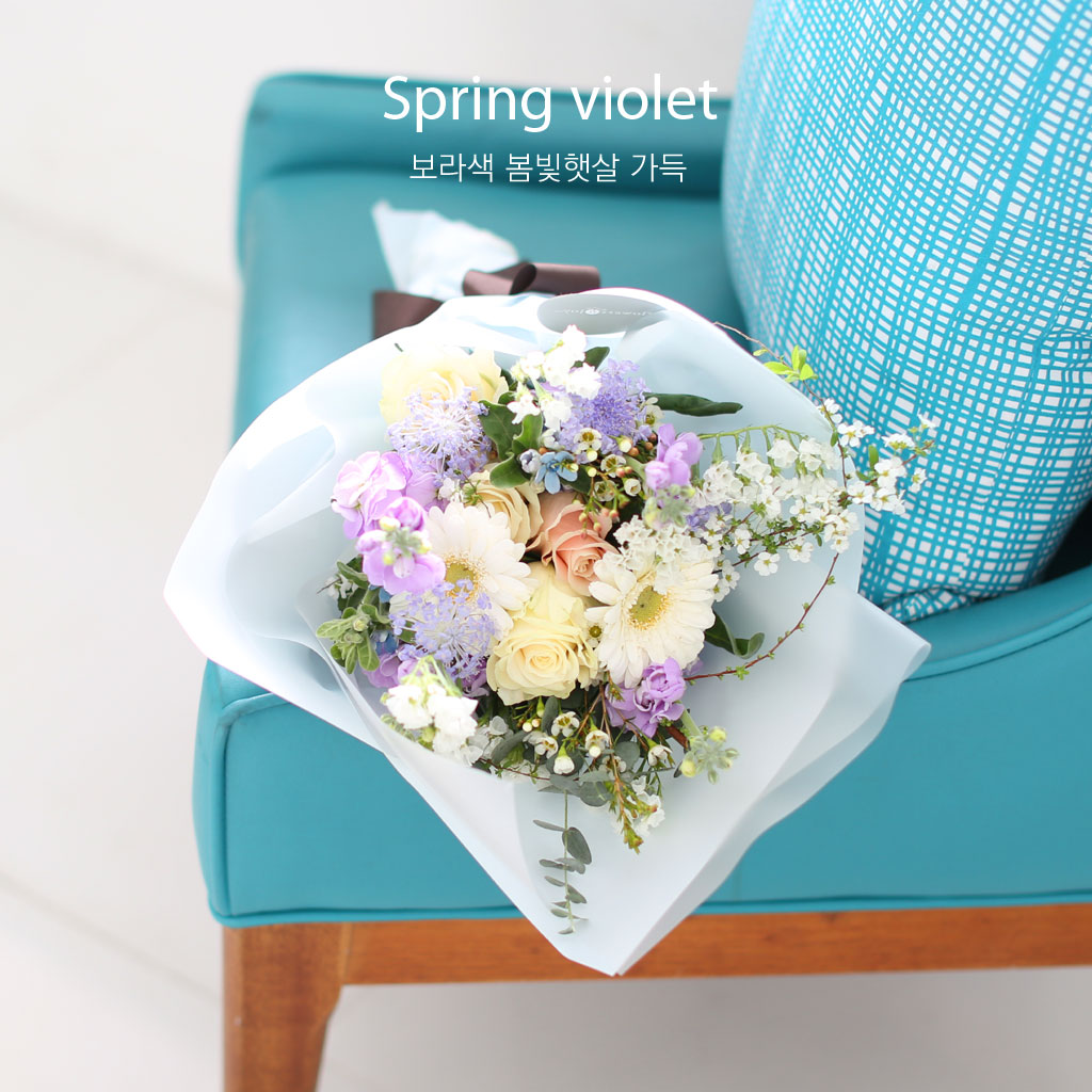 Spring violet - º¸¶óºû º½ºû ÇÞ»ì