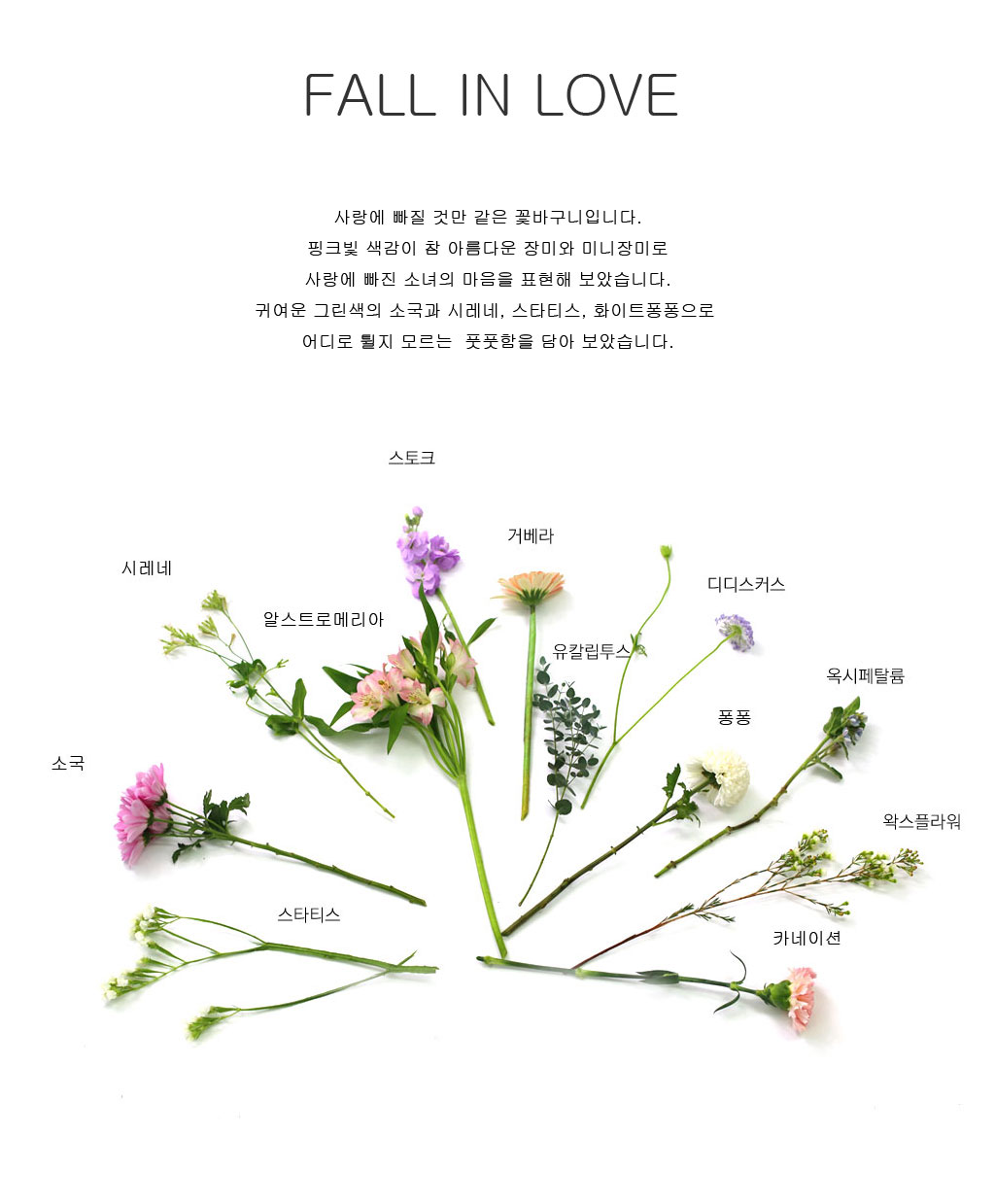 Fall in love - »ç¶û½º·¯¿î ±×³à ²ÉÁý ²É¹è´Þ