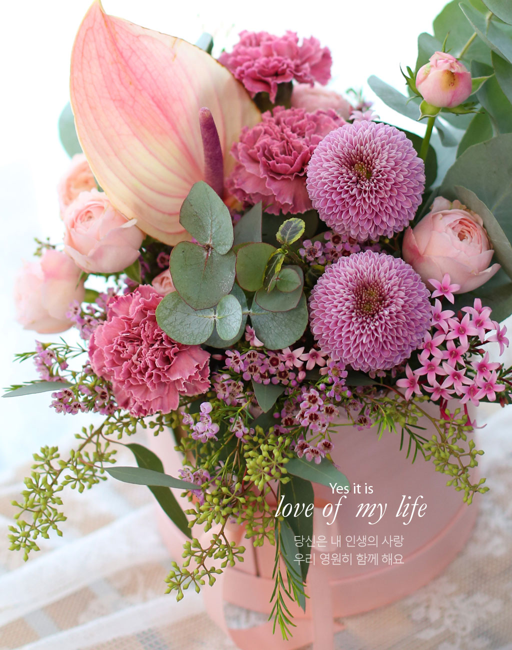 [/ǹ]Yes it is  love of my life