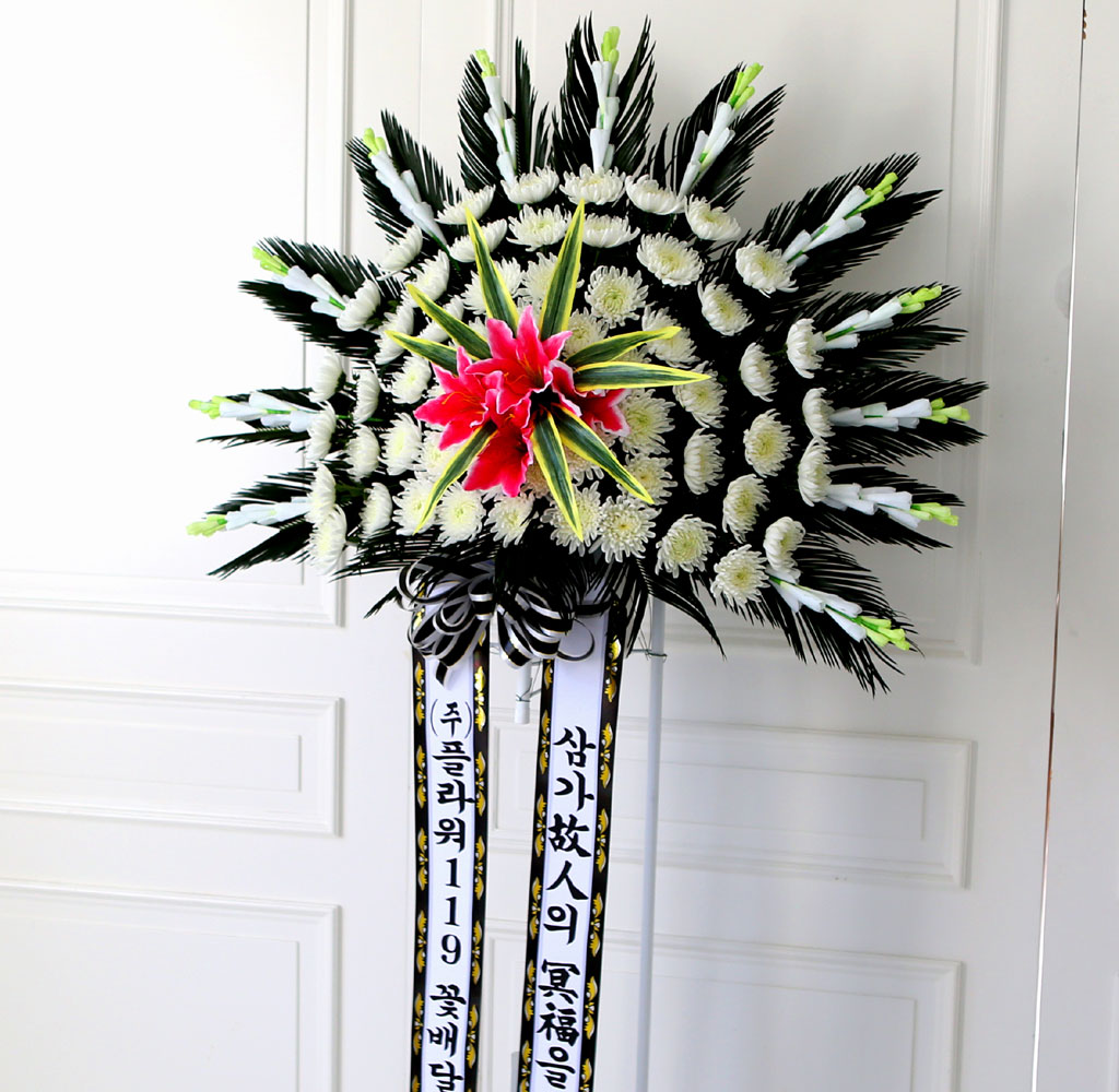 ãæ ±ÙÁ¶Èȯ 1´Ü ¿ÀºêÁ¦Èȯ