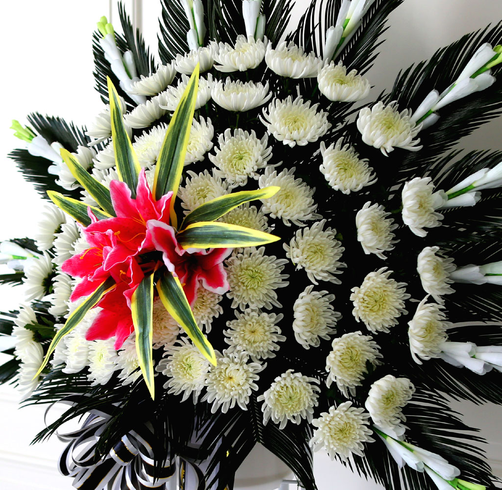 ãæ ±ÙÁ¶Èȯ 1´Ü ¿ÀºêÁ¦Èȯ